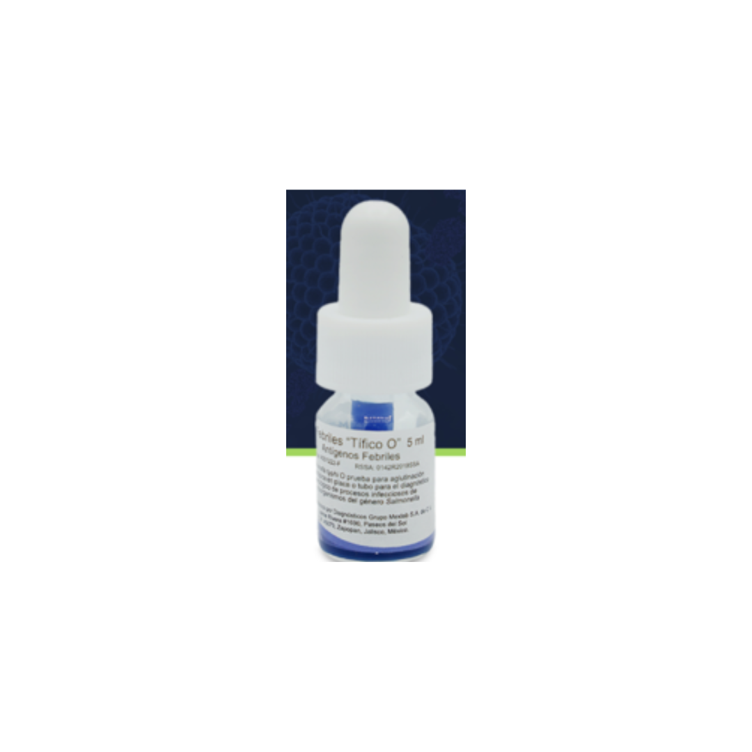 SALMONELLA TIFICO O LORNE