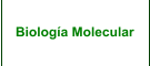 Biología Molecular