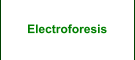 Electroforesis